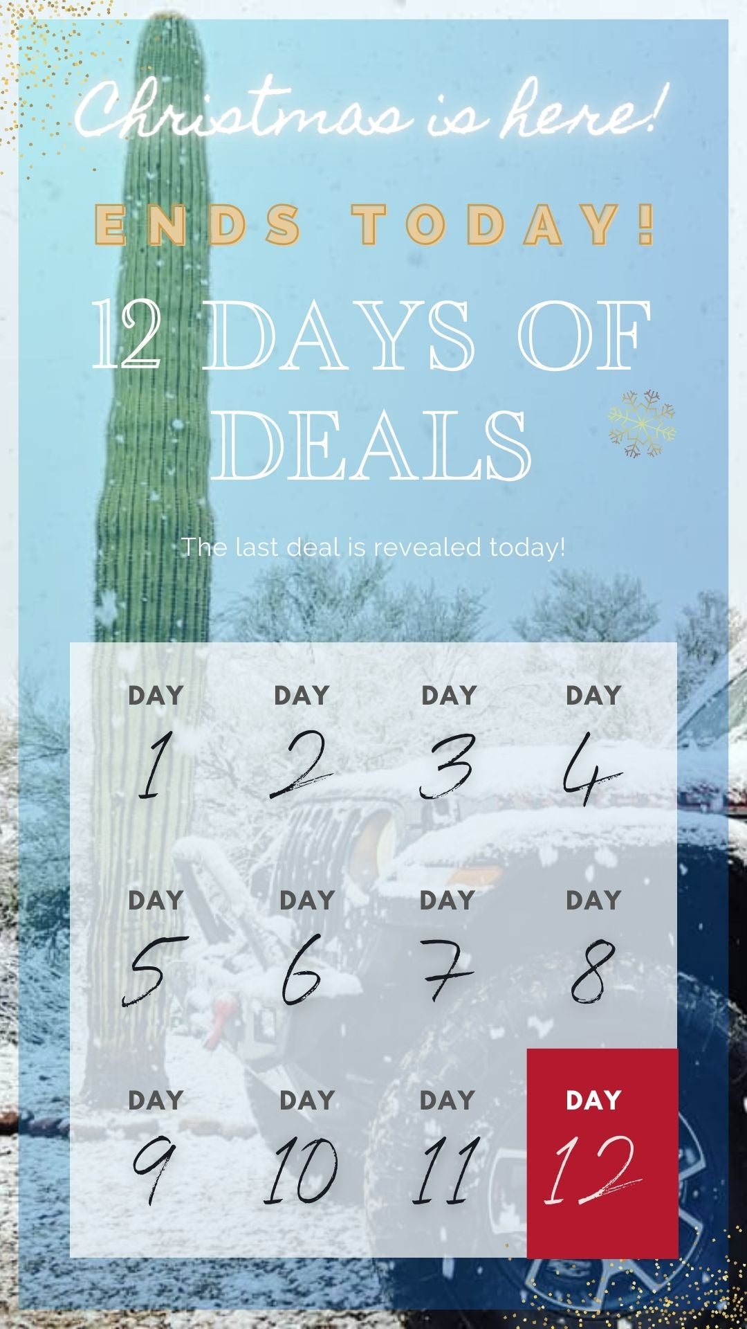 12 Days Of Christmas Deals: See Them All Here! Expire 12/24 11:59PM